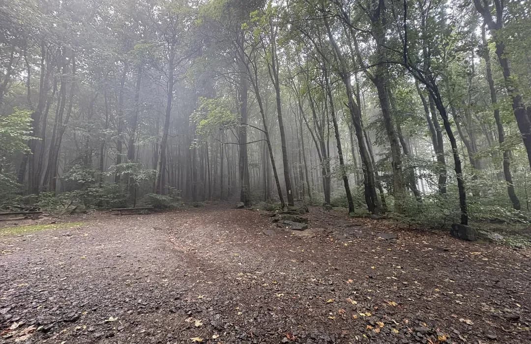 Najlepsze trasy rowerowe w Sobótce - odkryj ukryte szlaki i atrakcje